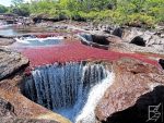 Sam środek Caño Cristales to przepiękne wodospady