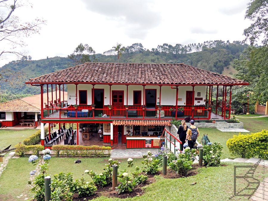 Finca El Ocaso Salento, plantacja kawy