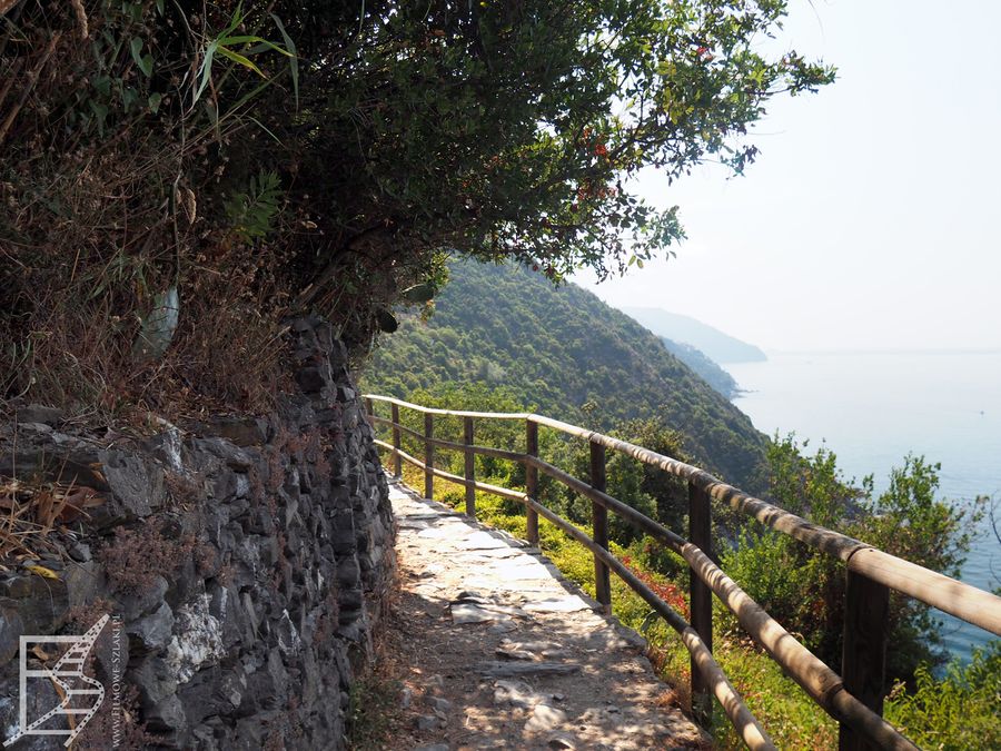 Ścieżki między miasteczkami w Cinque Terre