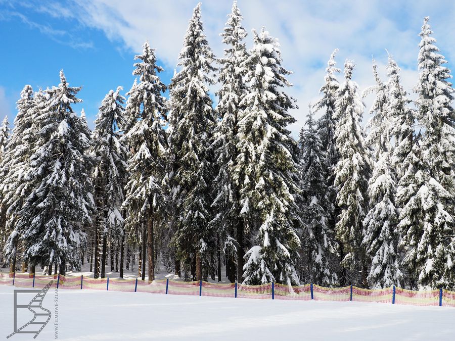 Harrachov to popularny ośrodek narciarski