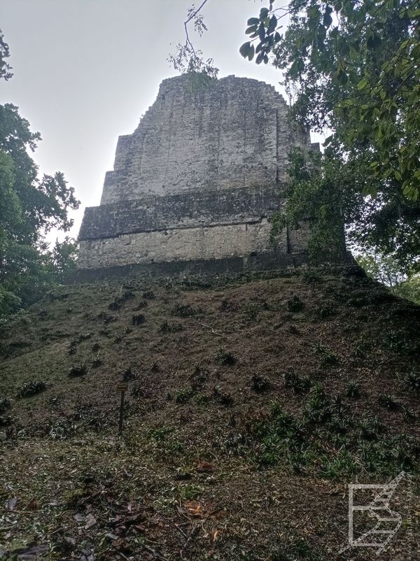 Tikal, Świątynia VI