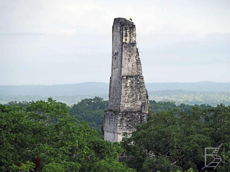 Widok z Świątyni IV na Tikal i Świątynię III