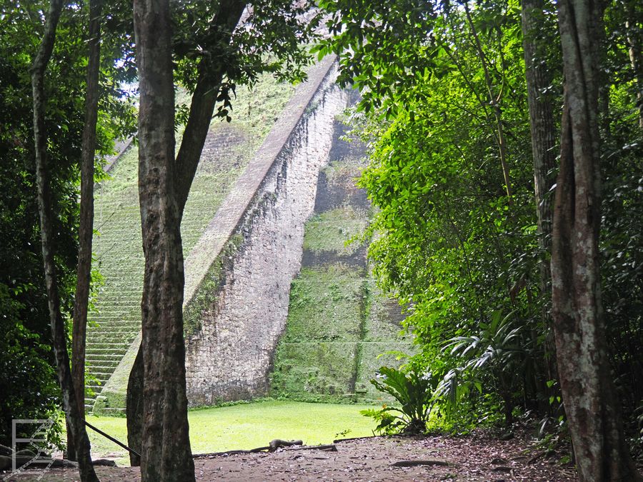 Tikal i przejście z dżungli na dziedziniec z Świątynią V