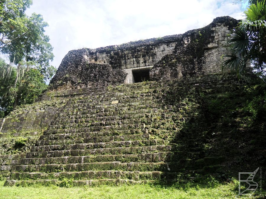 Ruiny Majów w dżungli są bardzo klimatyczne
