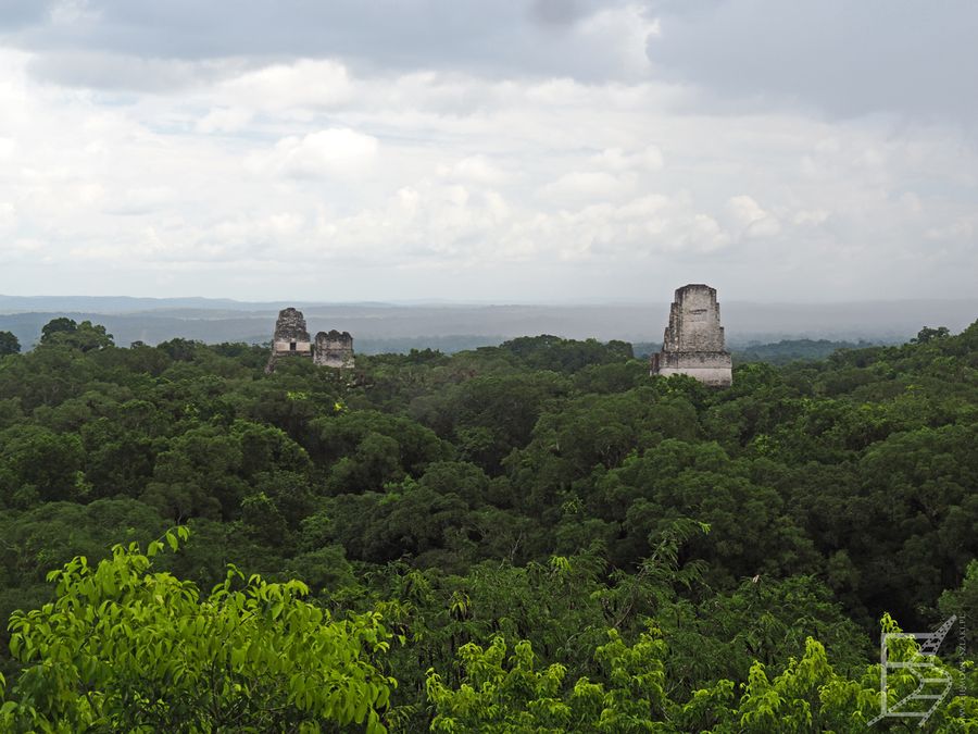 Tikal, widok ze Świątyni IV