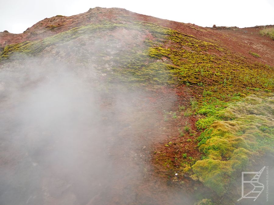 Deildartunguhver, czyli największe źródła geotermalne na Islandii
