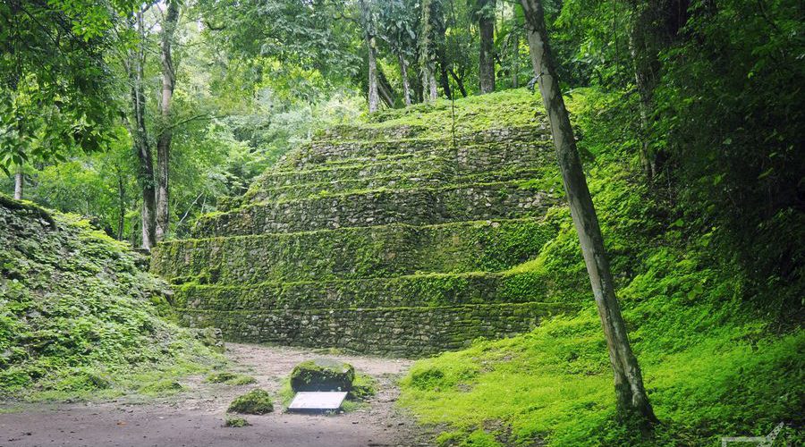 Yaxchilan, dawne miasto Majów obecnie porośnięte dżunglą