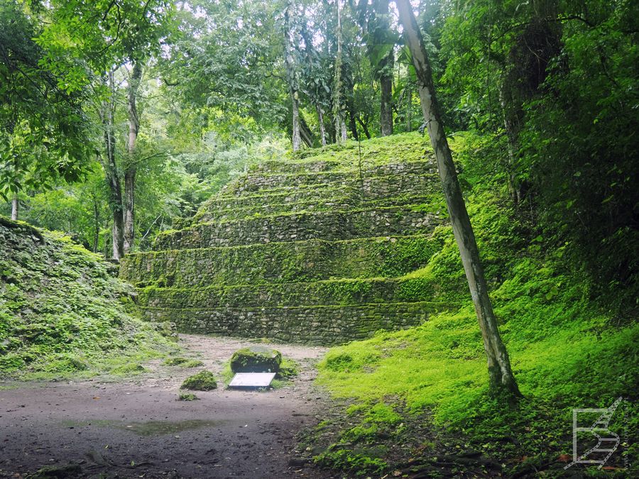 Yaxchilan, dawne miasto Majów obecnie porośnięte dżunglą