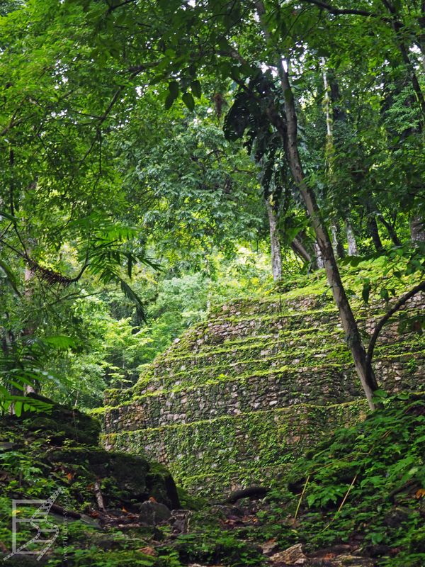 Yaxchilan - wejście do stanowiska z dżungli
