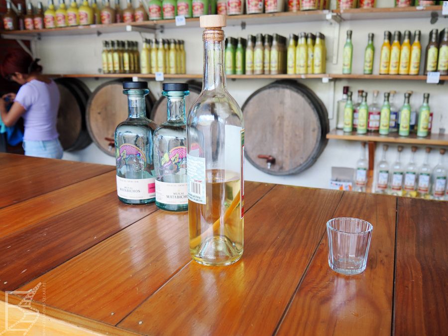 Mezcal to typowy alkohol regionalny w całym stanie Oaxaca