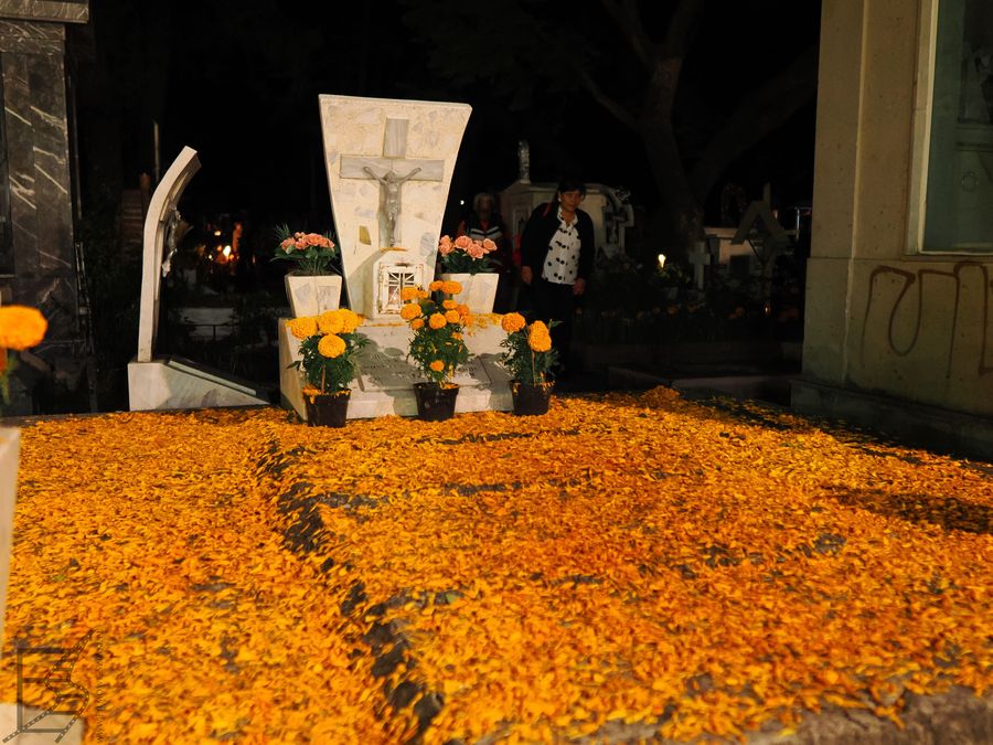 Aksamitka to kwiat, który jest jednym z symboli Dia de los Muertos. Powszechnie używany jest przy dekorowaniu grobów, ołtarzy i nie tylko