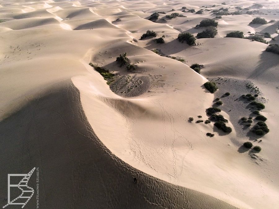 Przy odpowiednio zrobionym zdjęciu, Maspalomas wygląda nie jak plaża a jak pustynia