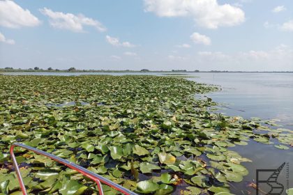 Delta Dunaju, Rumunia