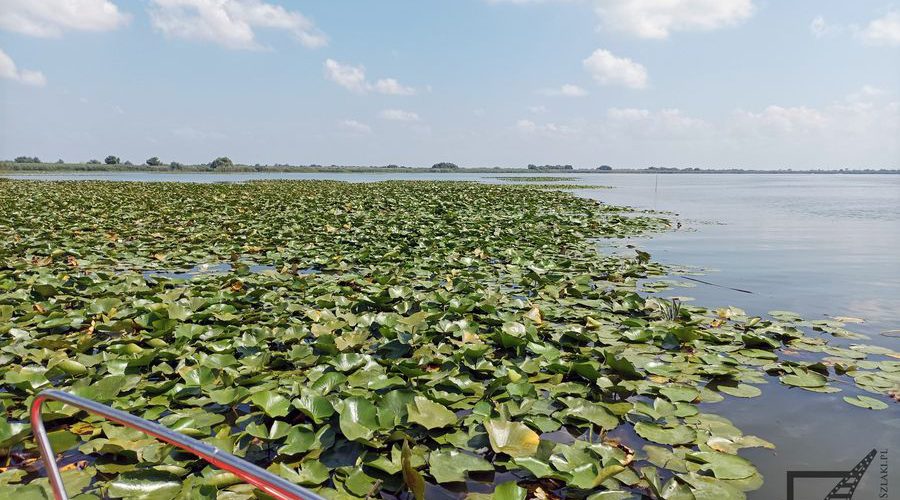 Delta Dunaju, Rumunia