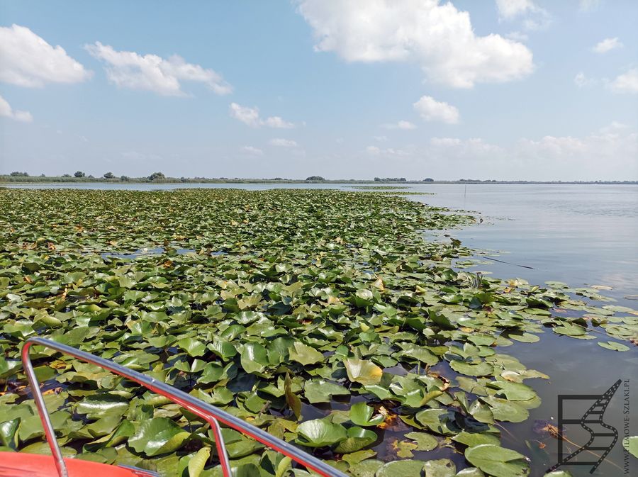 Delta Dunaju, Rumunia