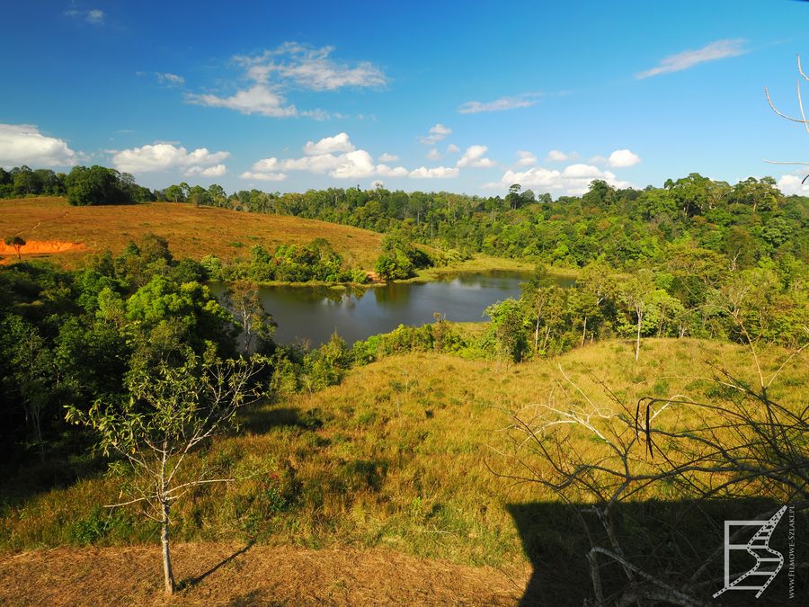 Widok z czatowni w Parku Narodowym Khao Yai