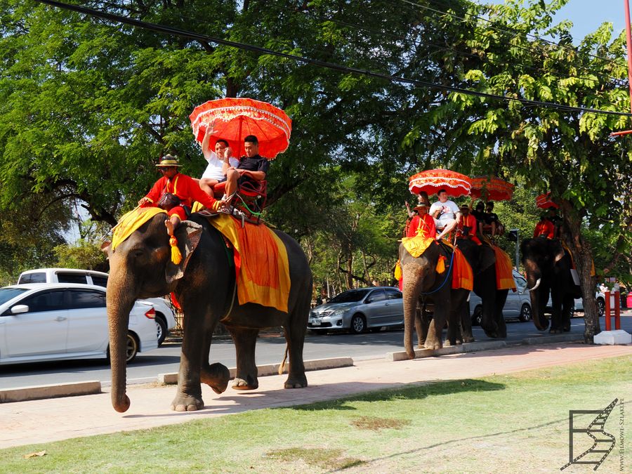 Turyści na słoniach przy Wat Phra Ram (Ayutthaya)