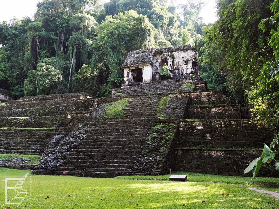Nie wszystkie ruiny w Palenque można oglądać od środka