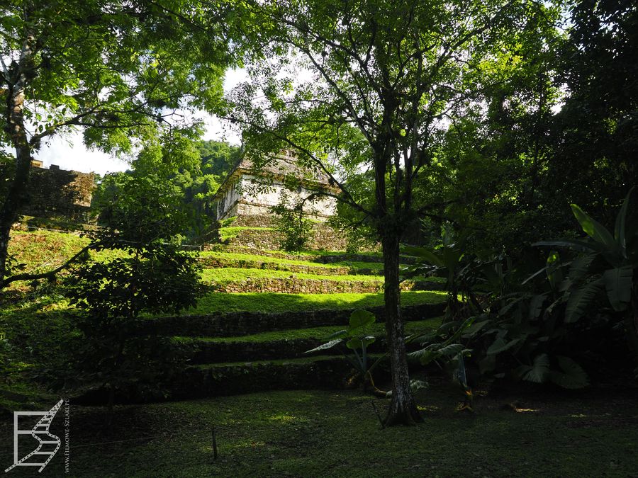 Cześć stanowiska archeologicznego Palenque pozostała porośnięta przez dżunglę