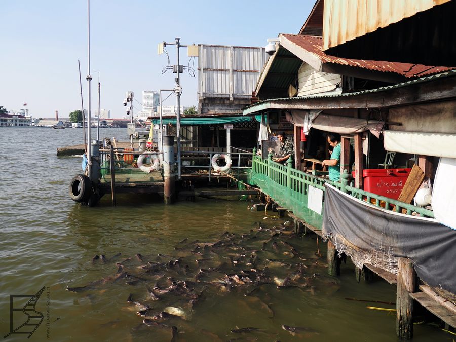 Rzeka Menam dzieli Bangkok, przeprawa między Wielkim Pałacem a Wat Arun odbywa i ludzie karmiący ryby