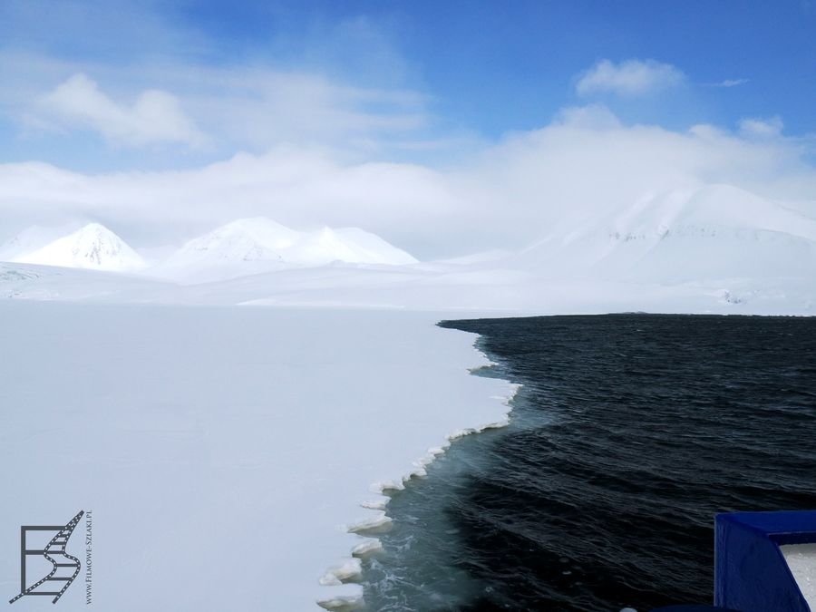 Lodowiec Esmark i pokrywa lodowa na zatoce