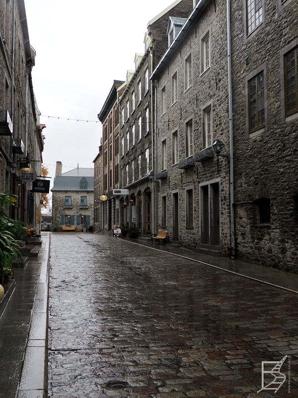 Kamienny stary Quebec