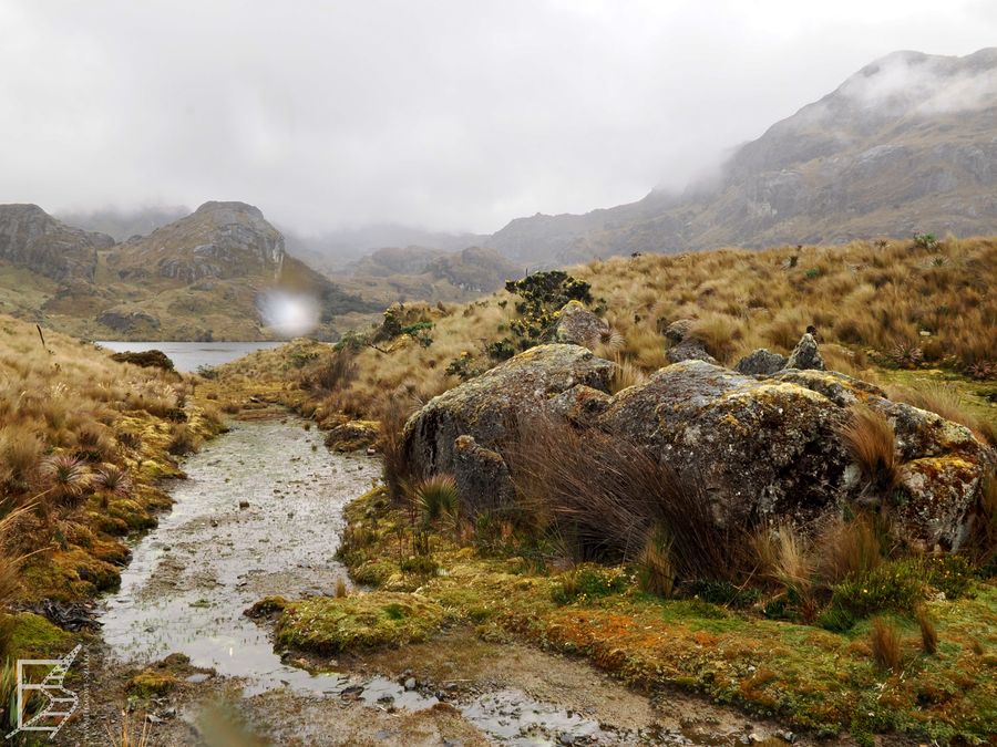 Surowa natura parku Cajas