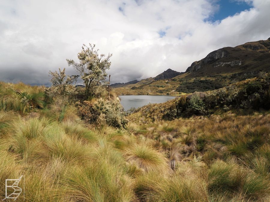 Szlak w Parku Narodowym Cajas i paramo