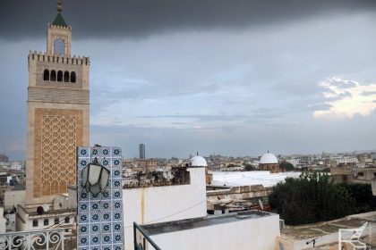 Tunis, widok na medynę