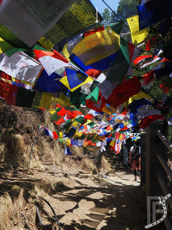 Flagi modlitewne na szlaku