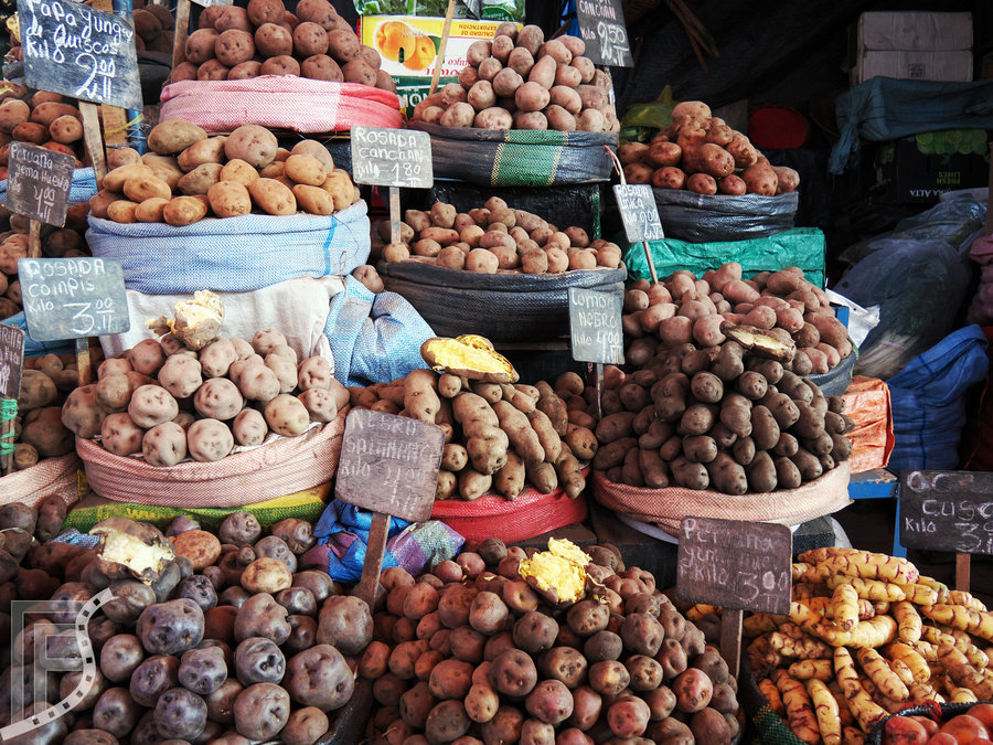 Różne gatunki ziemniaków na targowisku św. Kamila