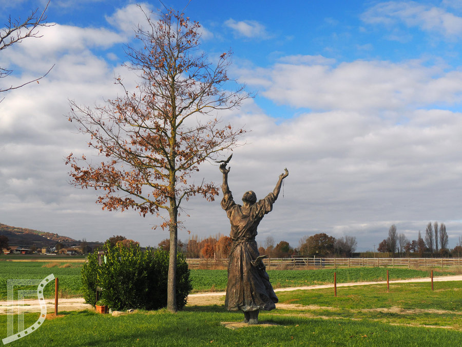 Miejsce kazania do ptaków