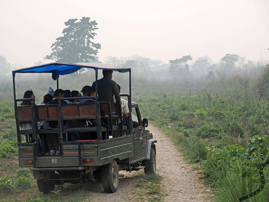 Ale jeep jest zdecydowanie lepszą alternatywą na safari
