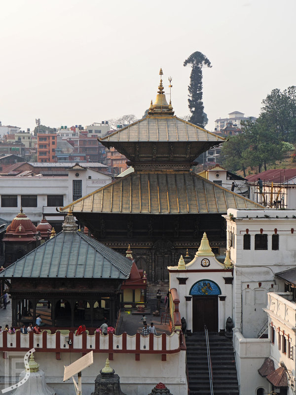 Główna świątynia w Pashupatinath