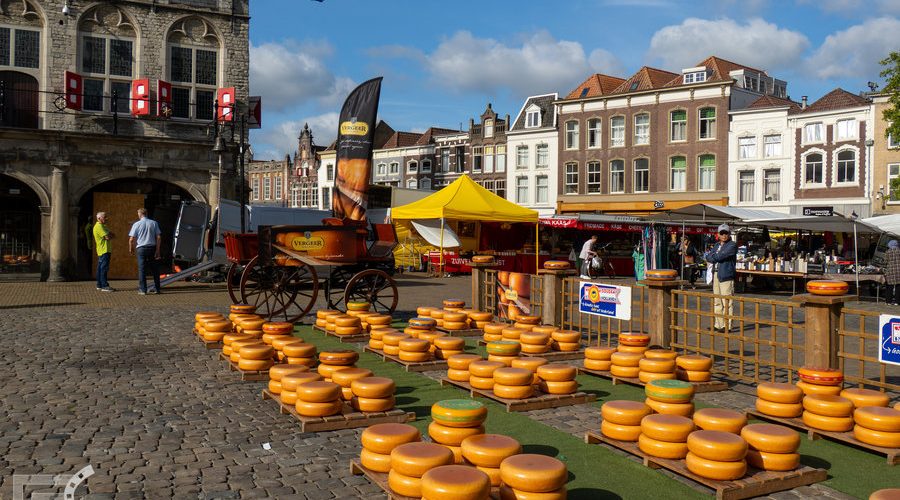 Gouda: Targ sera w centrum miasta