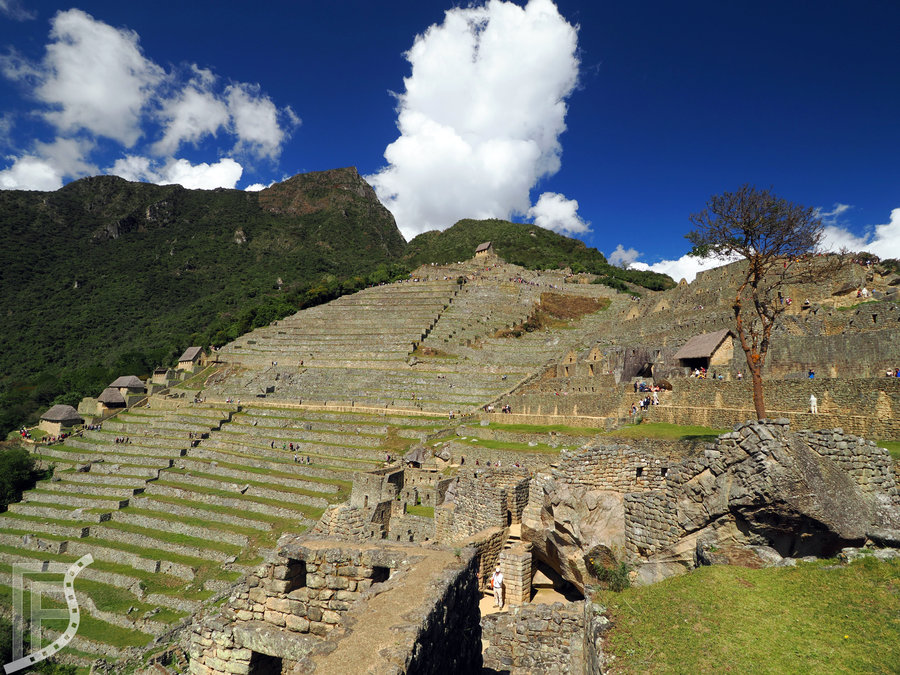 Tarasy i ruiny Machu Picchu